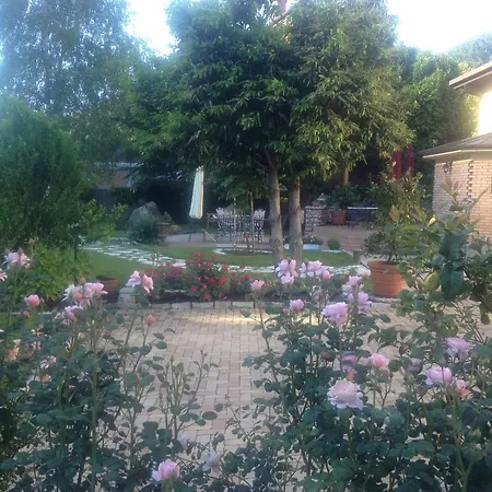 Отель Calvi-ristorante Mainor Витторио-Венето