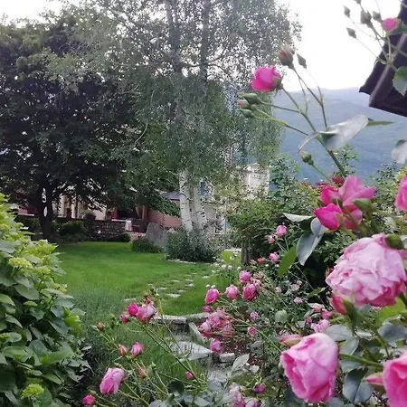 Calvi-ristorante Mainor 3*