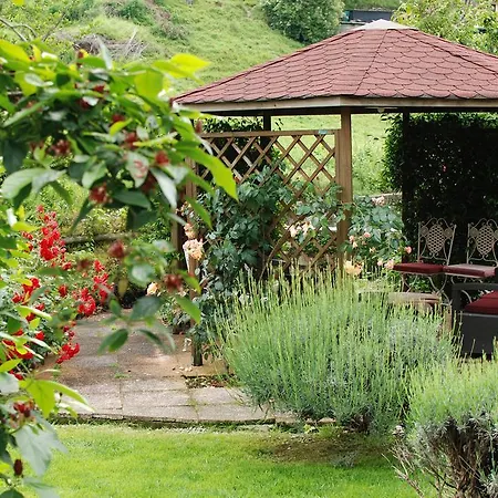 Отель Calvi-ristorante Mainor