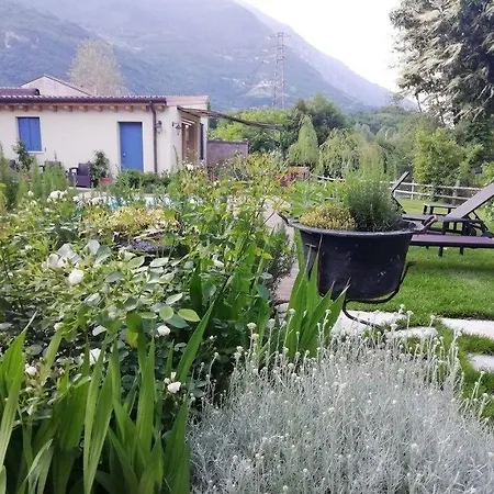 Calvi-ristorante Mainor Di Charme Hotel 3*